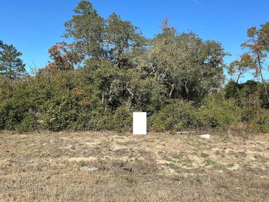 0 165TH Loop - Photo 1