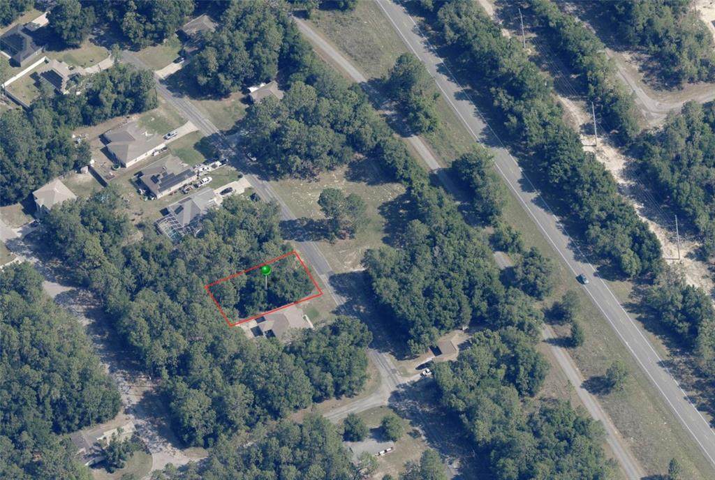 9728 Sandree Drive - Photo 1