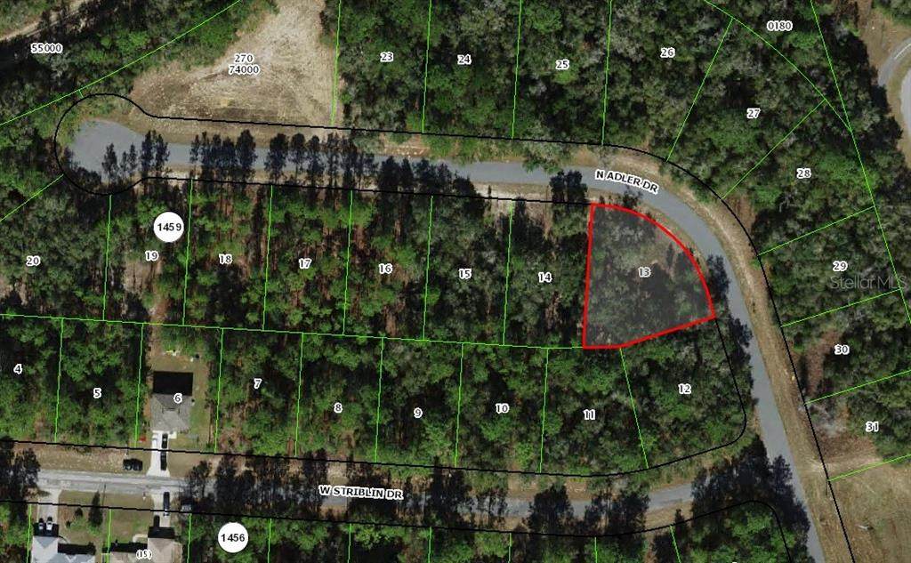 11208 Adler Drive - Photo 1