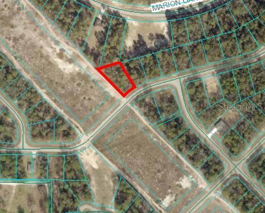  153 LANE Road - Photo 1