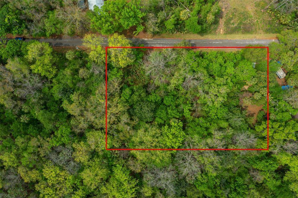 5043 Palo Verde Point - Photo 1