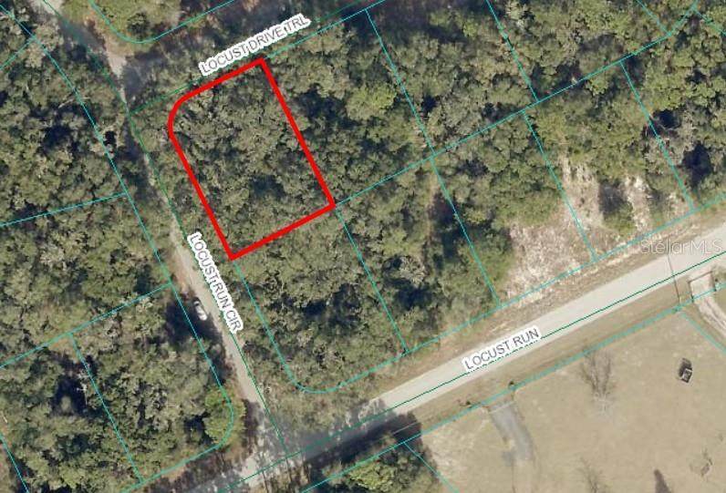 TBD Locust Drive Trail - Photo 1