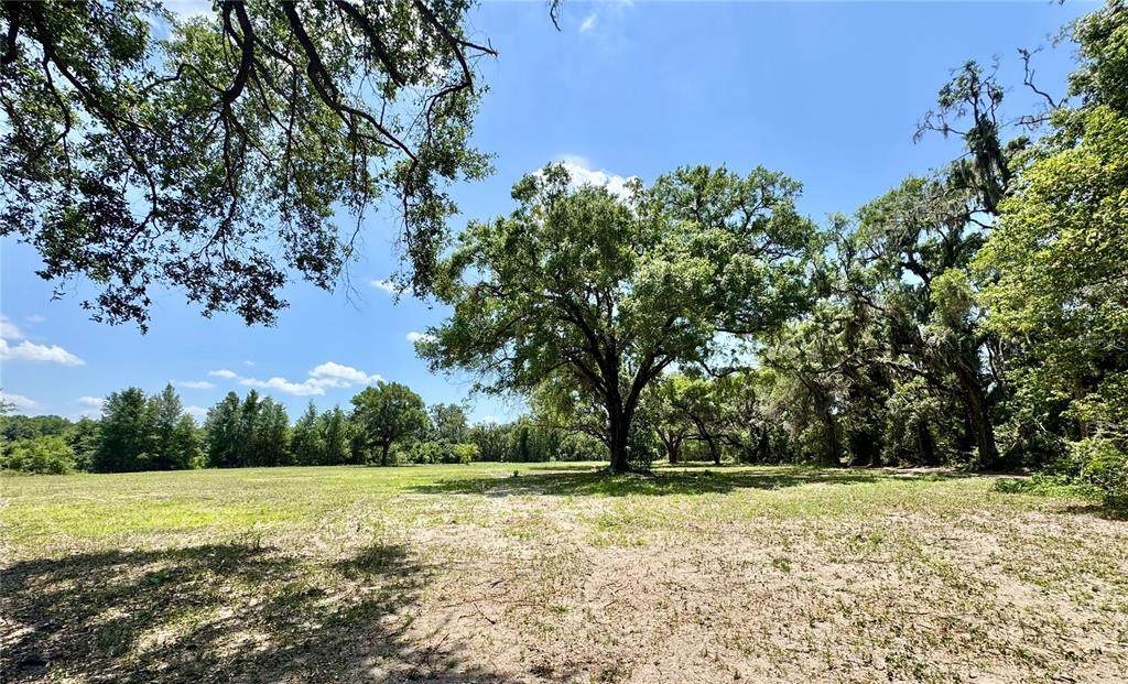 7349 19TH AVENUE Road - Photo 1