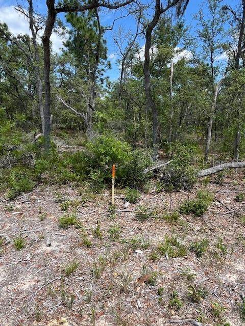 TBD 57TH Avenue - Photo 1