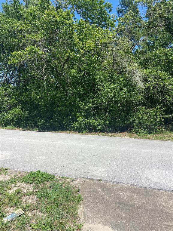  Bluffview Dr - Photo 1