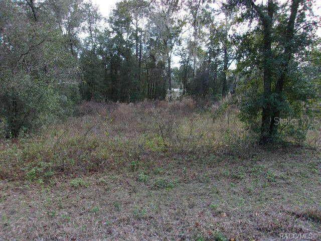 6700 Haynes Lane - Photo 1