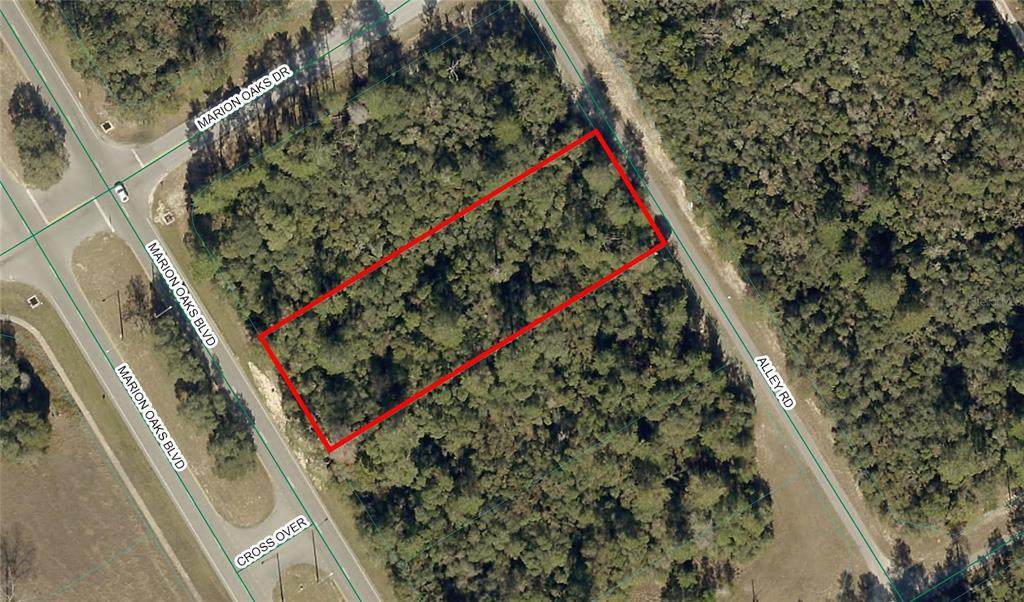 00 Marion Oaks Boulevard - Photo 1