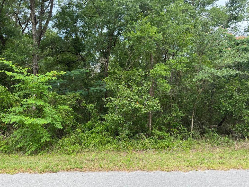 Lot 14 Chanel Heights Court - Photo 1