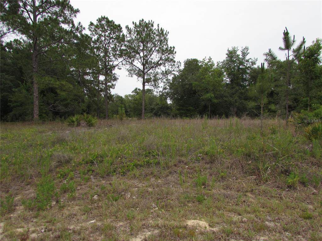 Lot 40 South Wind Court - Photo 1