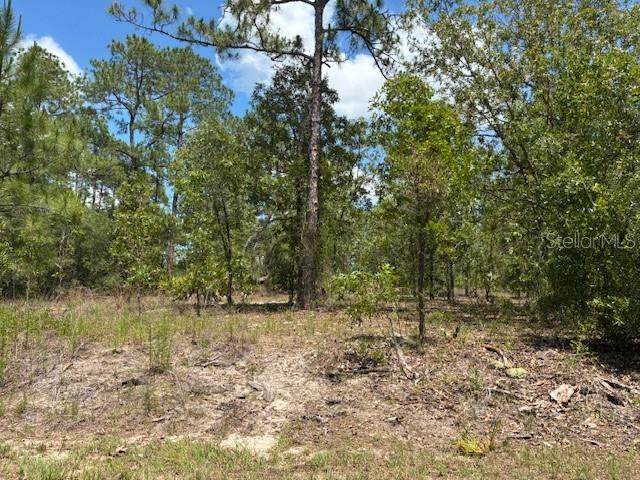 TBD Southview Court - Photo 1