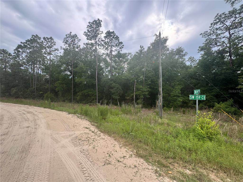 TBD 159 Court - Photo 1