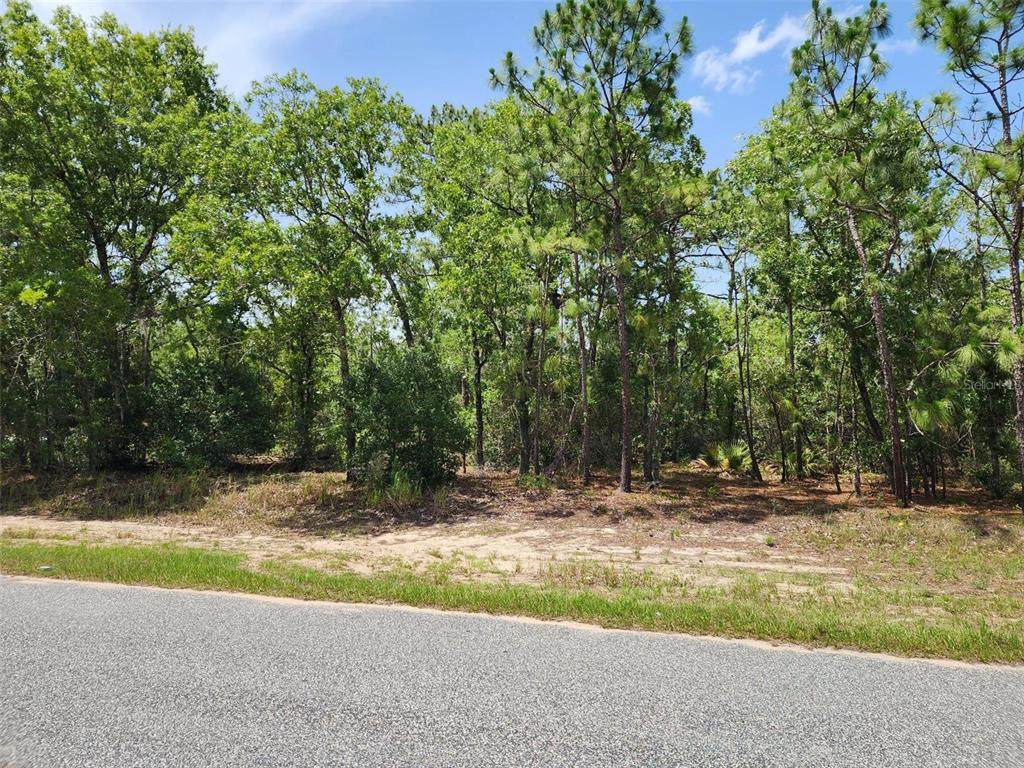 Oak Circle - Photo 1