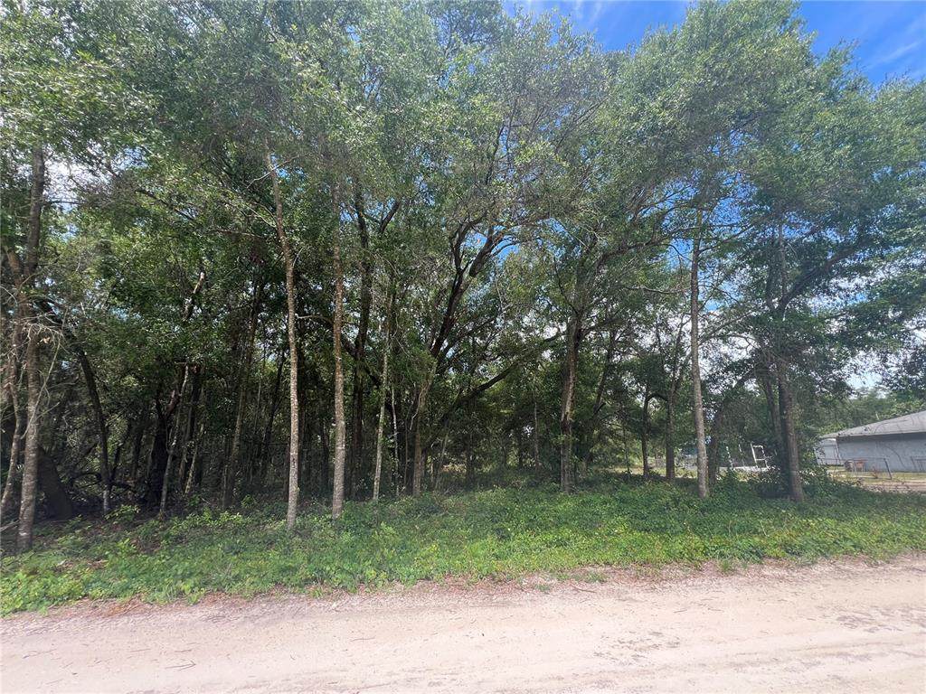 0000 52ND Avenue - Photo 1