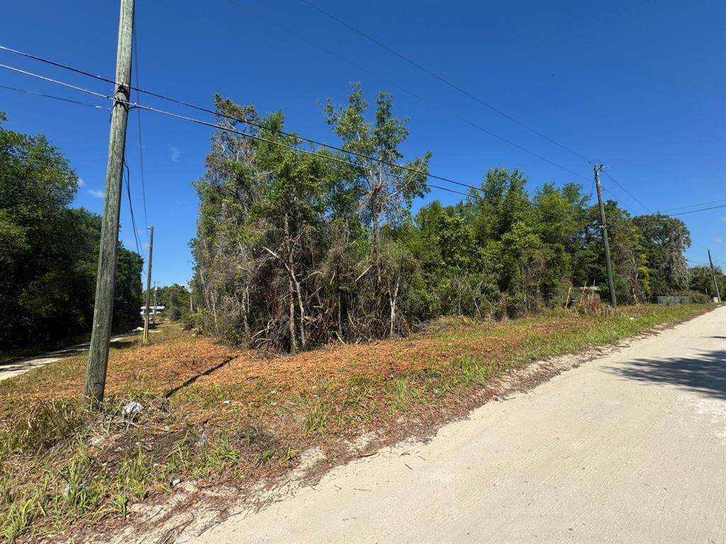  131ST Lane - Photo 1