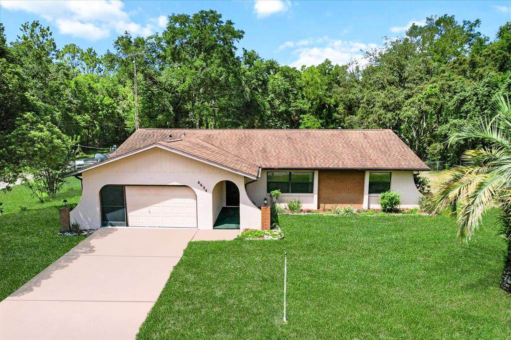 8624 Dove Orchid Drive - Photo 1