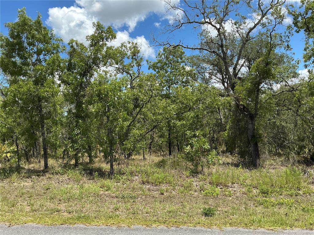 13022 Jaywalk Road - Photo 1