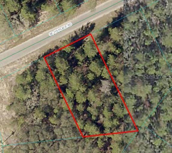  115 PLACE RD - Photo 1