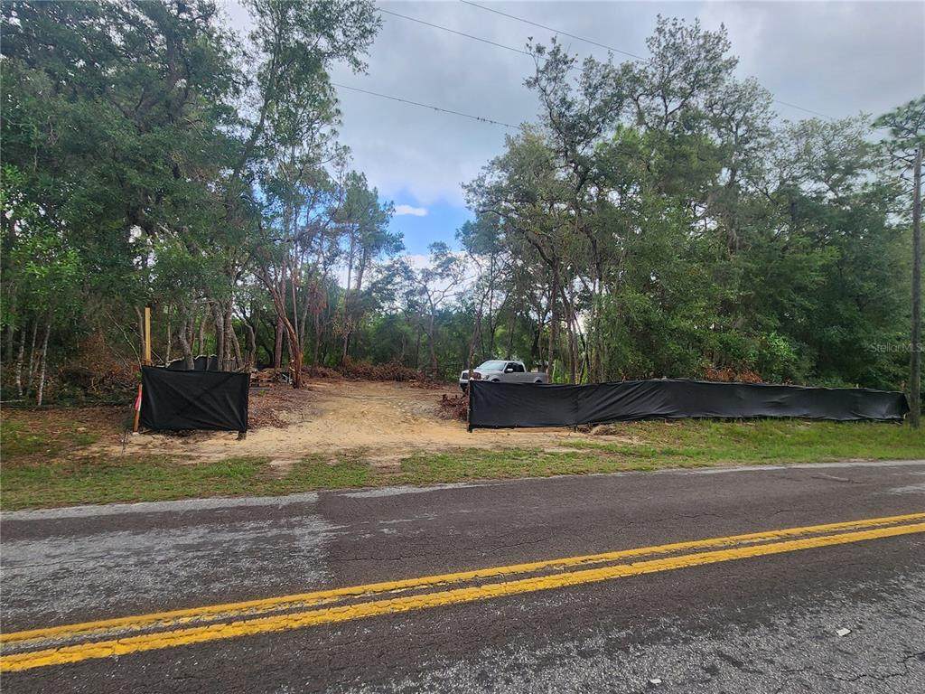 3919 Orchid Street - Photo 1