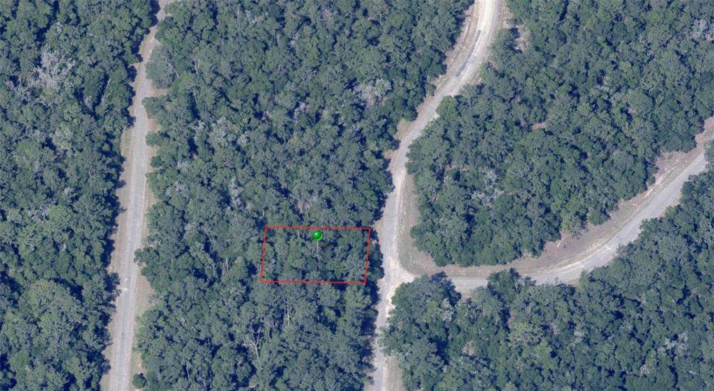 870 Panama Drive - Photo 1