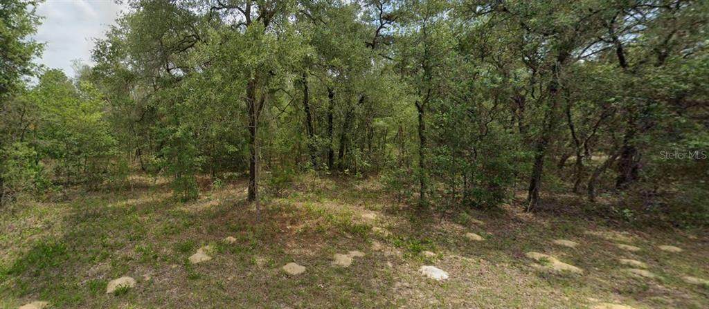 6455 Whispering Dr - Photo 1