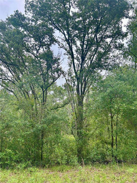 714 Longwood Avenue - Photo 1