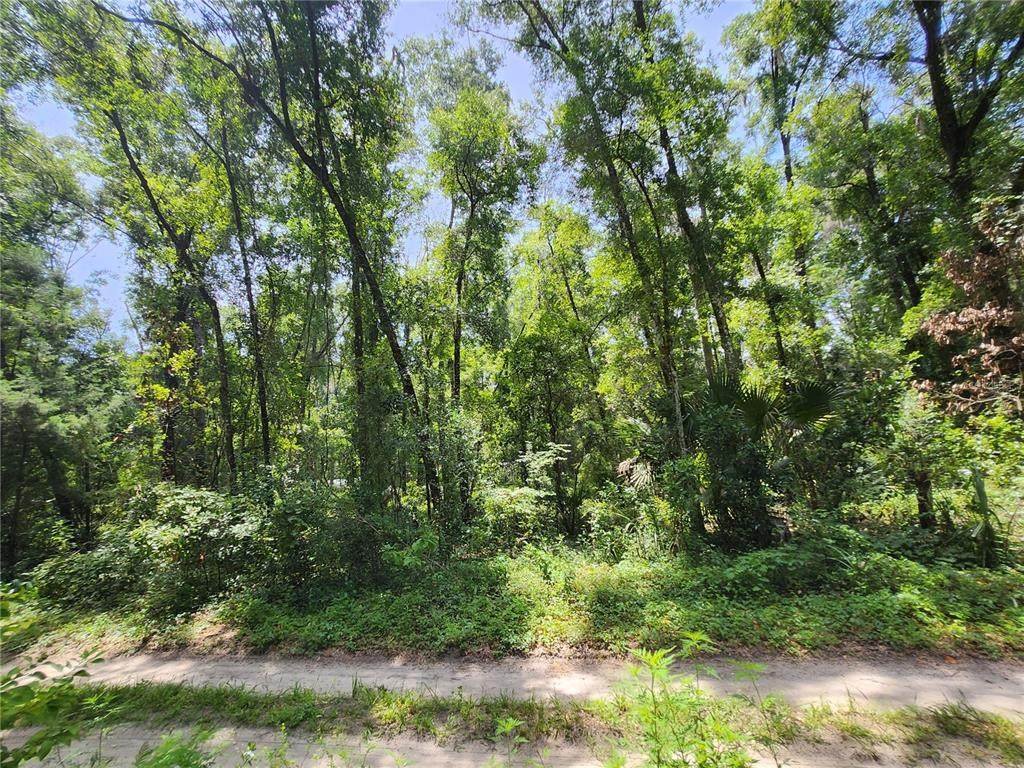 3200 167 Street - Photo 1