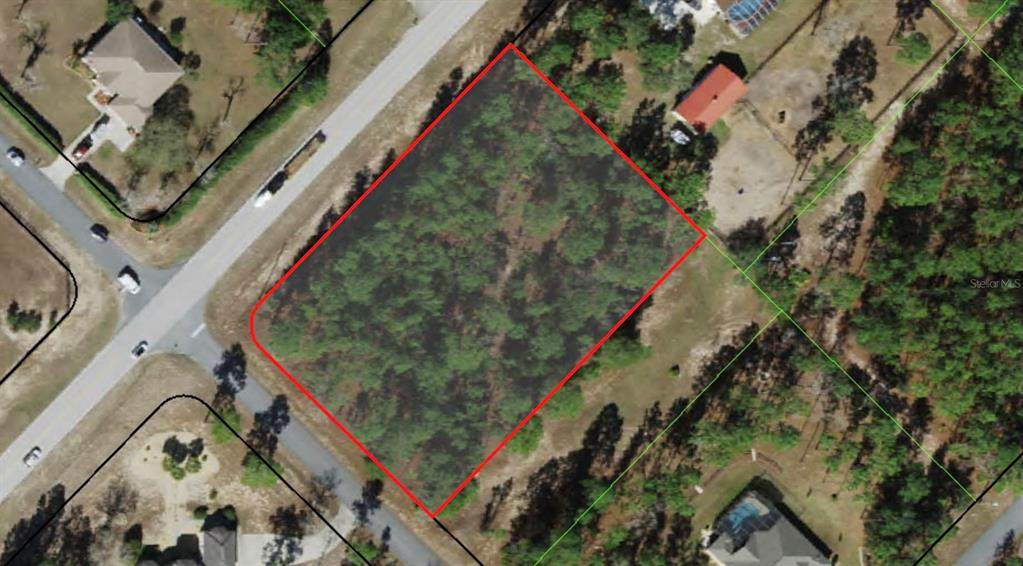 5543 Buckskin Drive - Photo 1