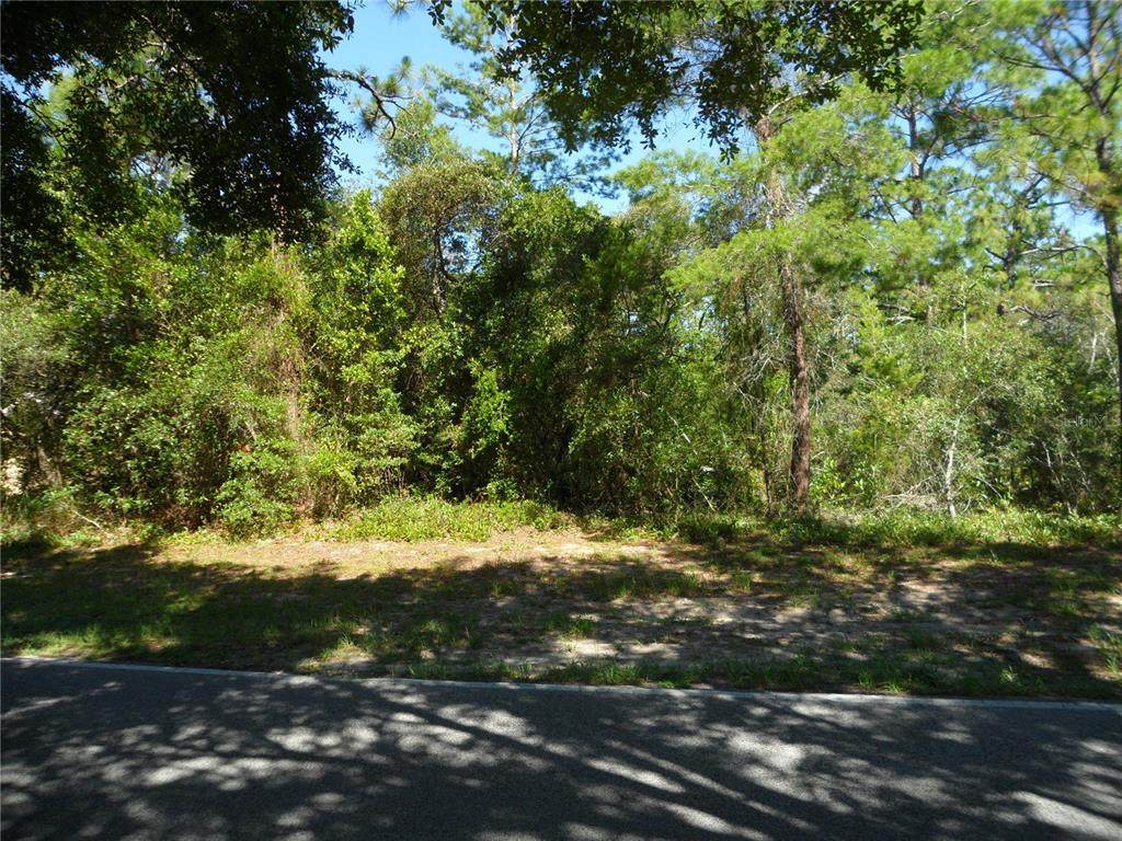 119 Oak Village Boulevard - Photo 1
