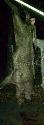 0000 County Road 347 - Photo 31