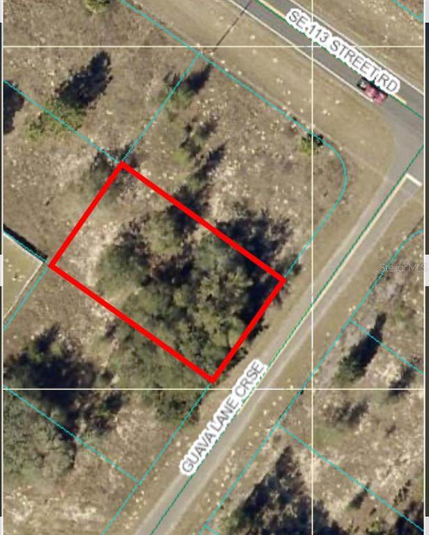 Guava Lane Cross - Photo 1
