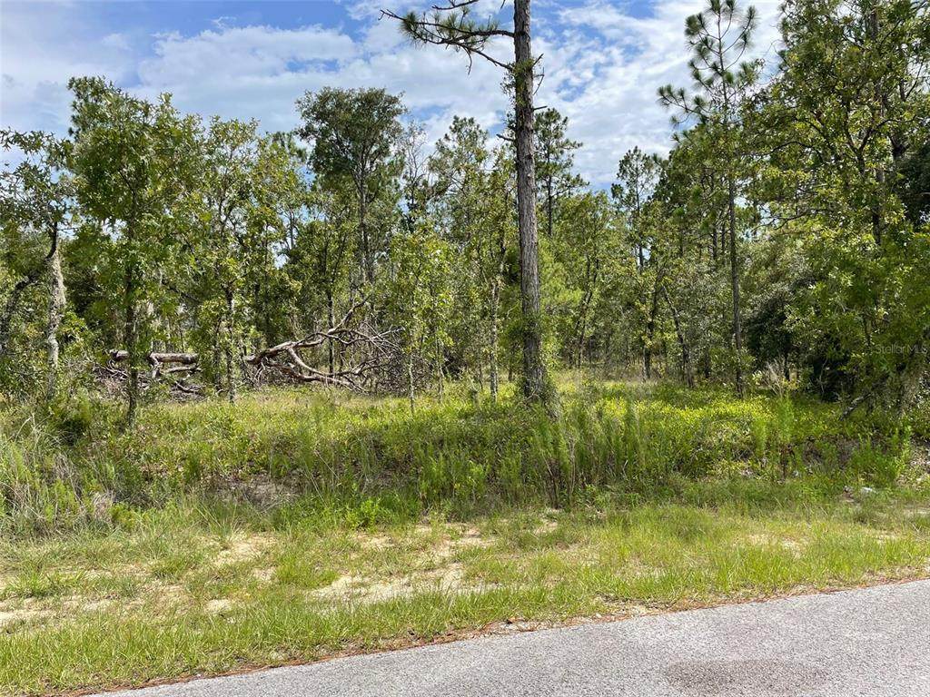 LOT 18 Geranium Avenue - Photo 1