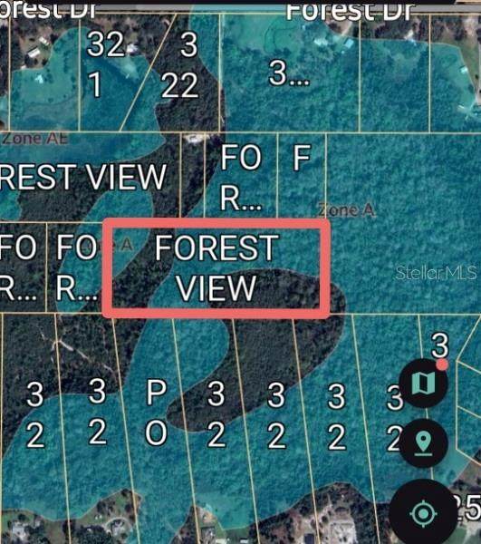  Forest View Road - Photo 1