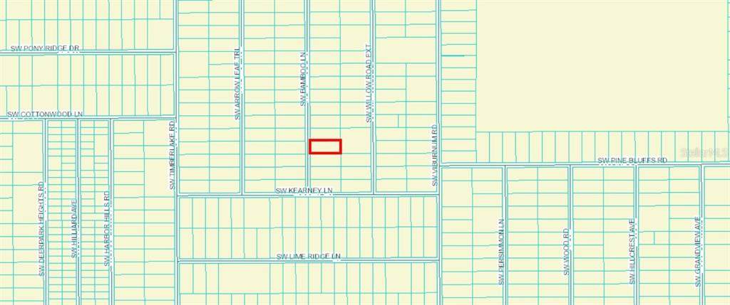  Bamboo Lane - Photo 1