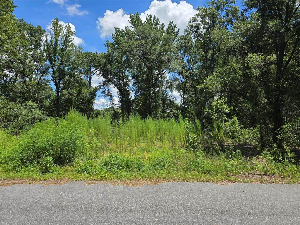  234 OAK LANE Way - Photo 1