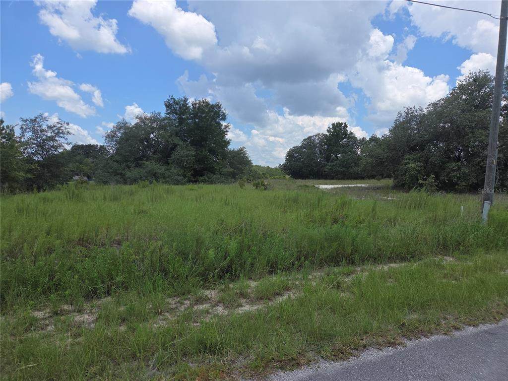Lot 14 Viola Court - Photo 1