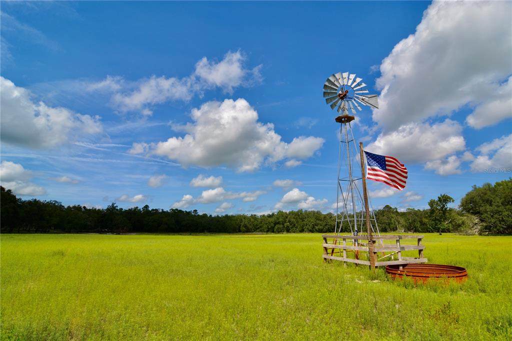 2669 Suwannee Valley Road - Photo 1