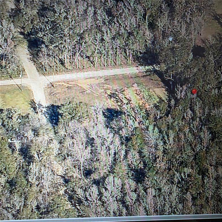  14TH PLACE - Photo 1