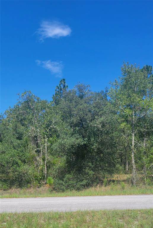 0 Big Bear Ridge - Photo 1