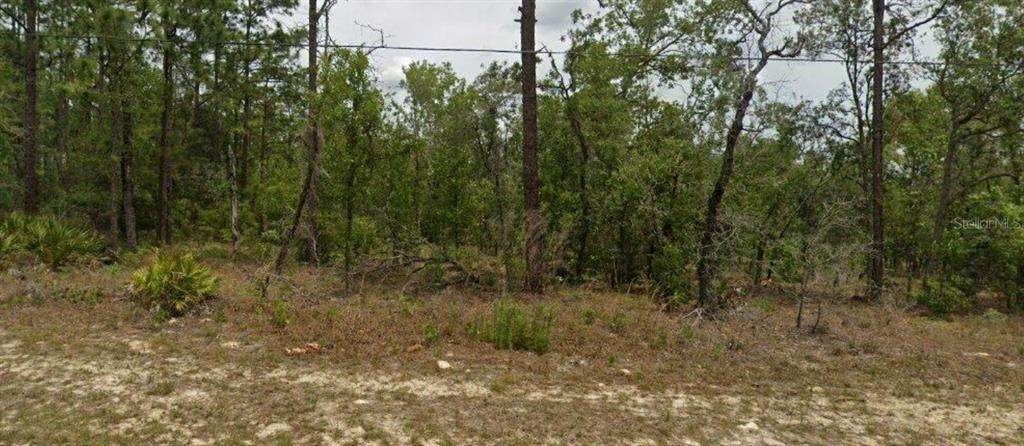 6627 Bedstrow Boulevard - Photo 1