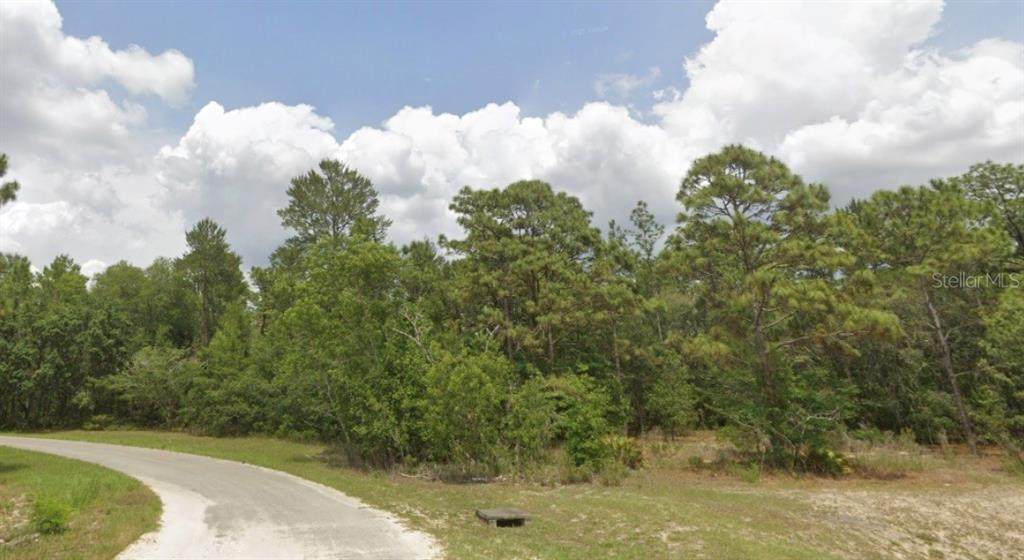 0000 66TH Avenue - Photo 1