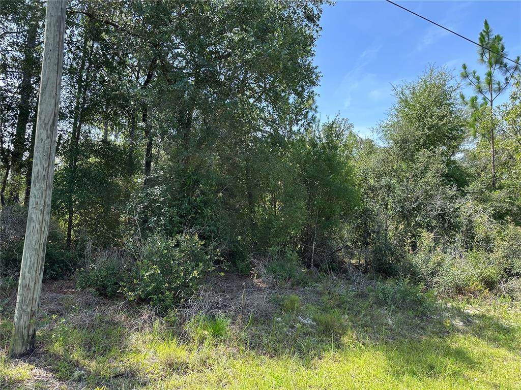 1498 Carson Road - Photo 1