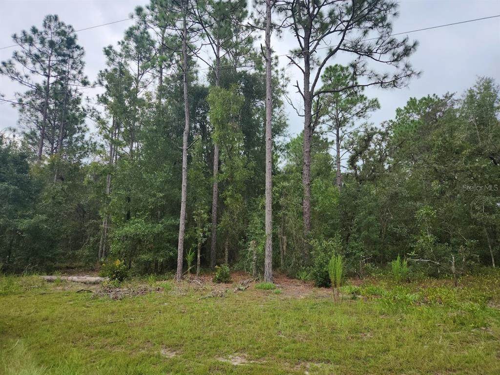 lot 24 89TH Circle - Photo 1