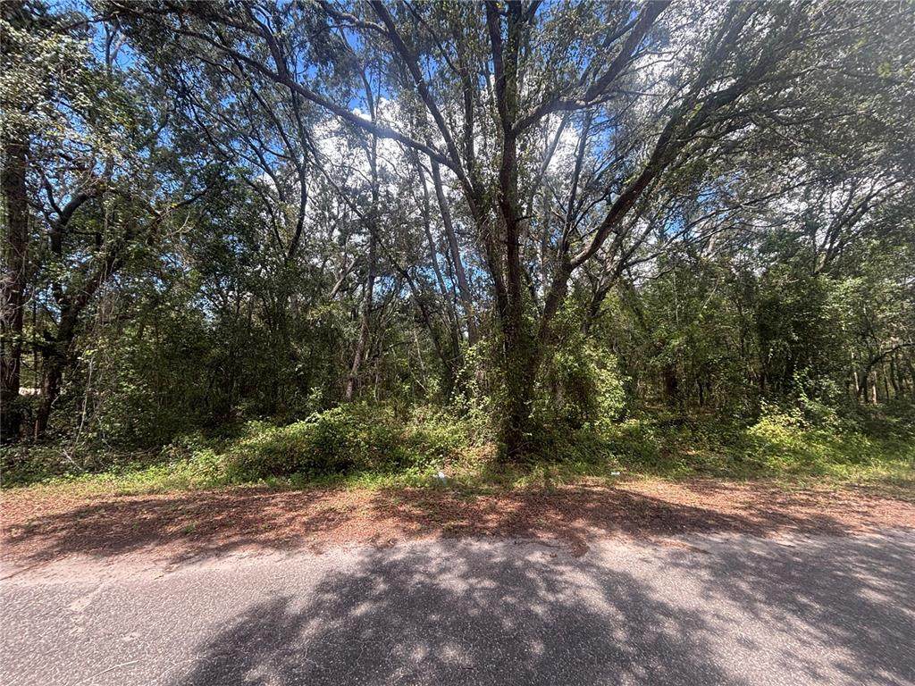 56 Fisher Lane Court - Photo 1