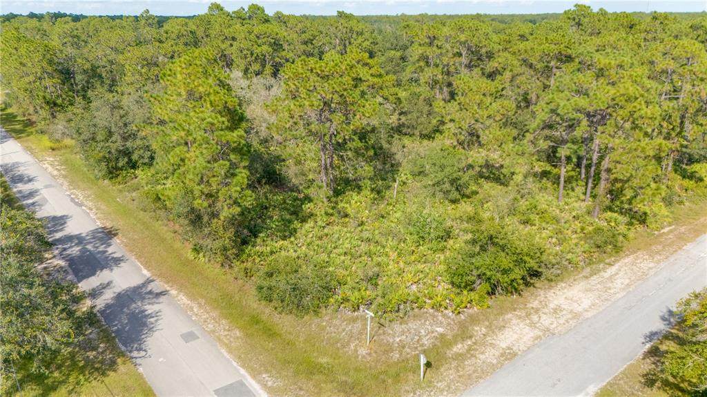 524 Magnolia Drive - Photo 1