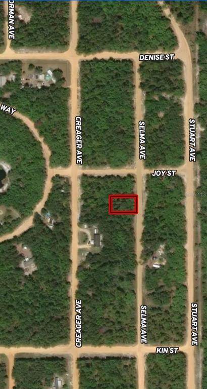 LOT 19 Selma Avenue - Photo 1