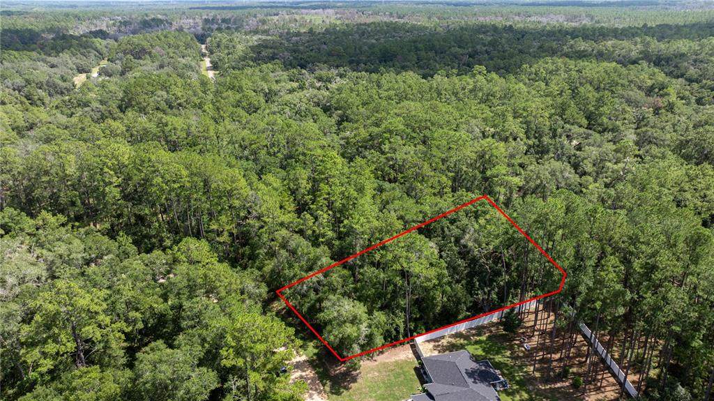 1412 Carson Road - Photo 1