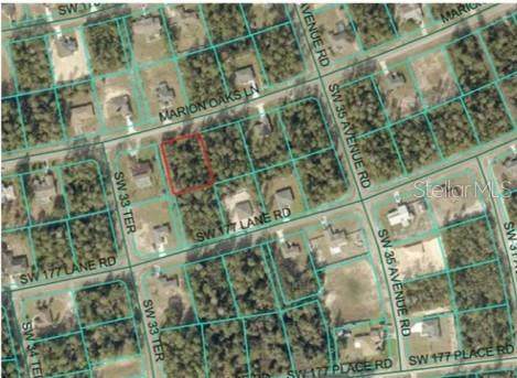 TBA Marion Oaks Lane - Photo 1