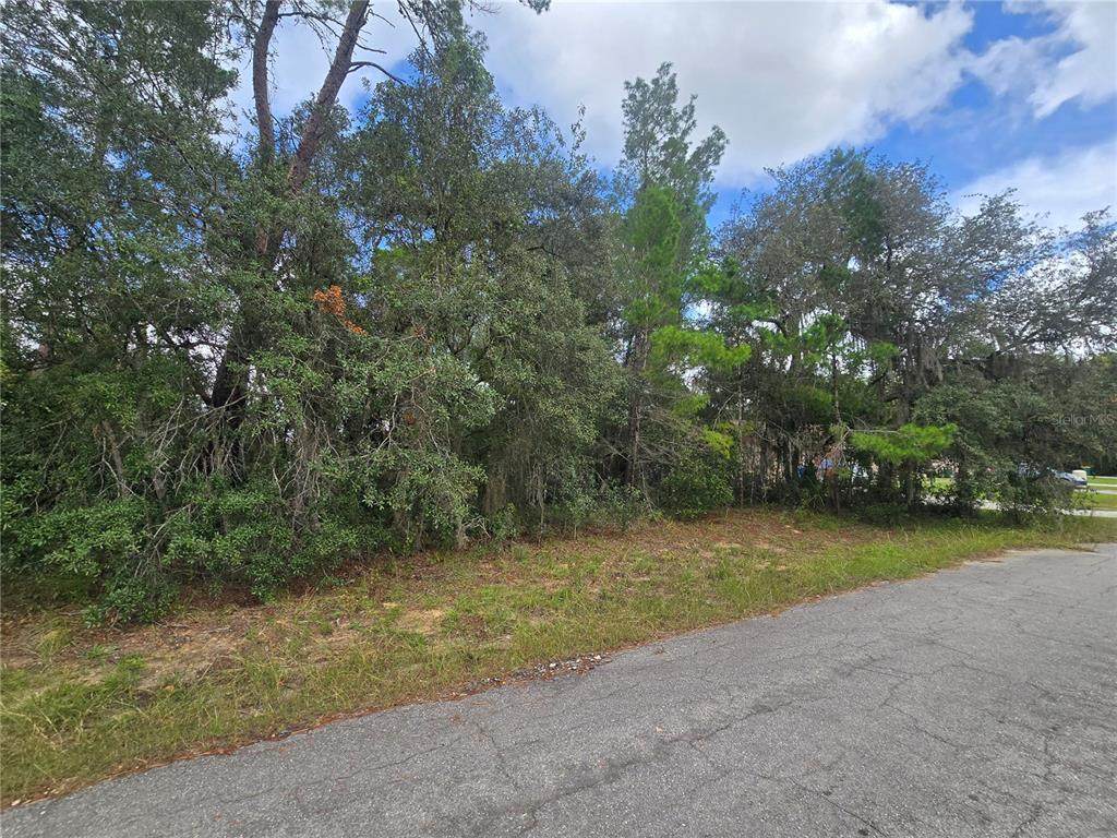 3006 Clearwood Street - Photo 1