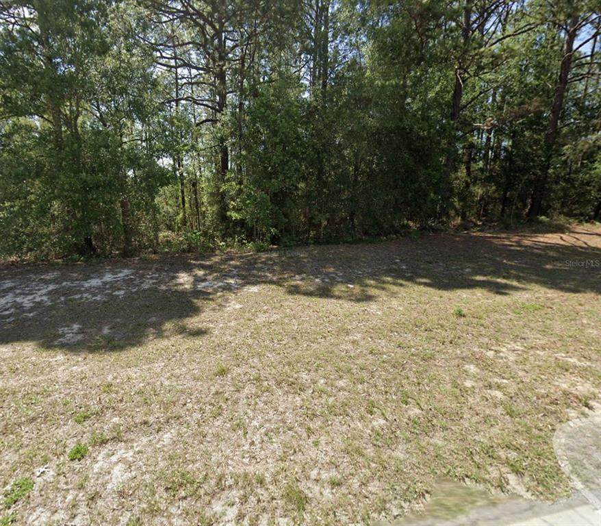 7868 Elkcam Blvd - Photo 1