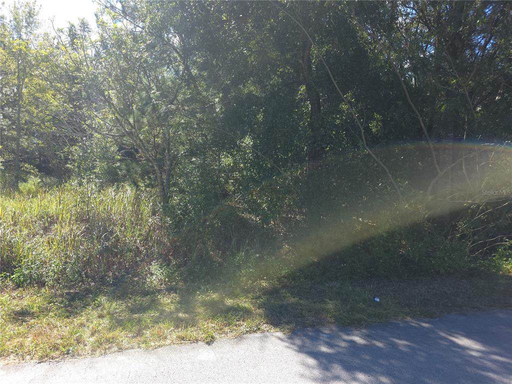 70 Juniper Pass - Photo 1